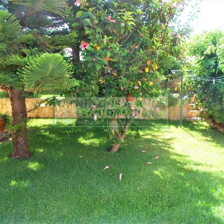 Catuna - Quinta Do Jolu Villa