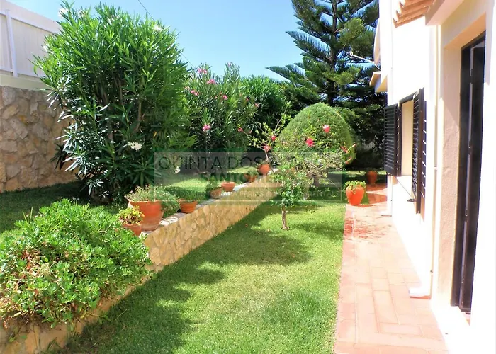 Catuna - Quinta Do Jolu Villa